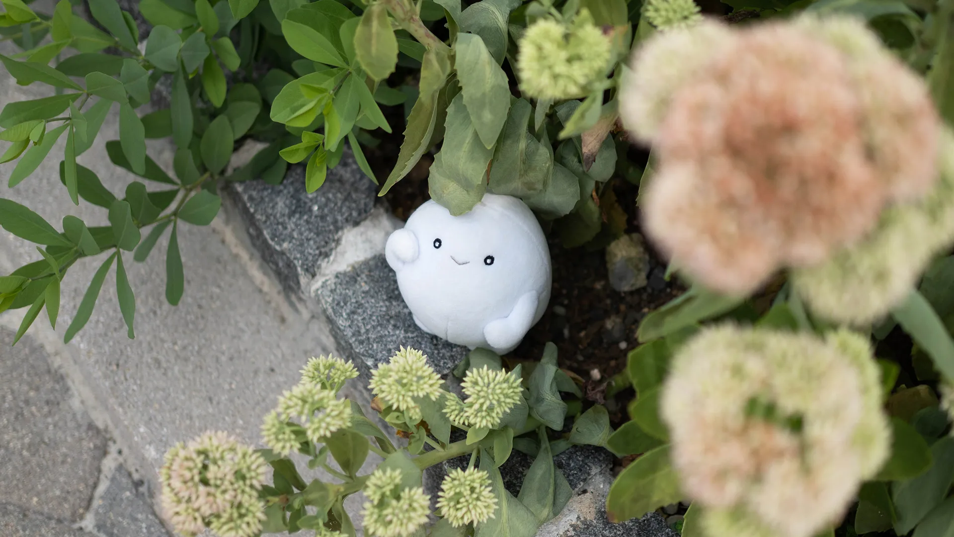 花壇で一休みのpovoキャラクター