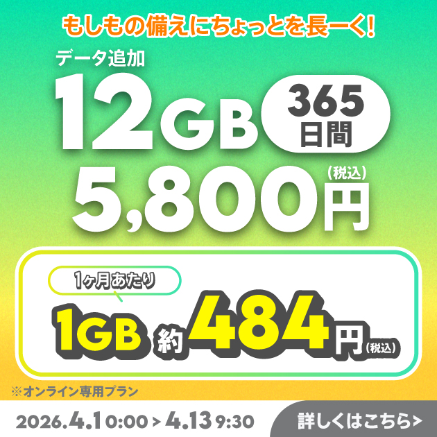 【期間限定】データ追加12GB(365日間)