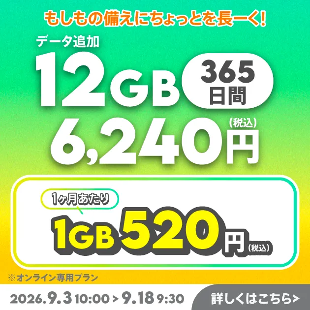 【期間限定】データ追加12GB(365日間)