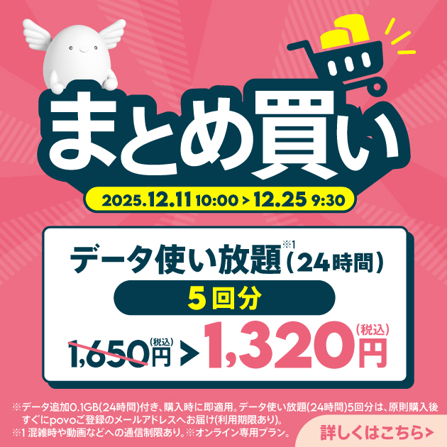 データ使い放題(24時間)5回分