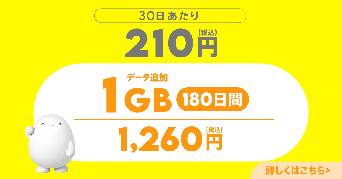 データ追加1GB(180日間)