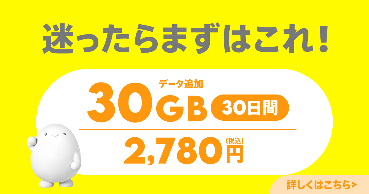 データ追加30GB(30日間)
