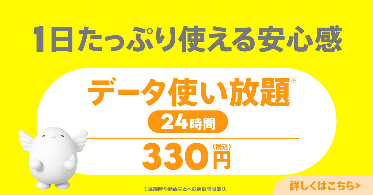 データ使い放題(24時間)
